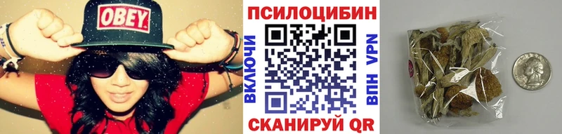 где купить наркотик  Армавир  Псилоцибиновые грибы Psilocybine cubensis 